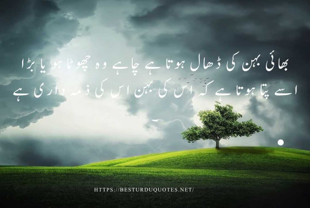 Best Urdu Quotes