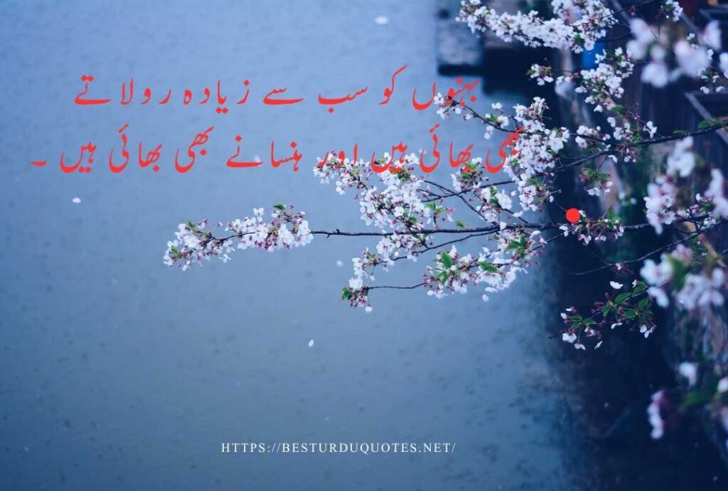 Best Urdu Quotes