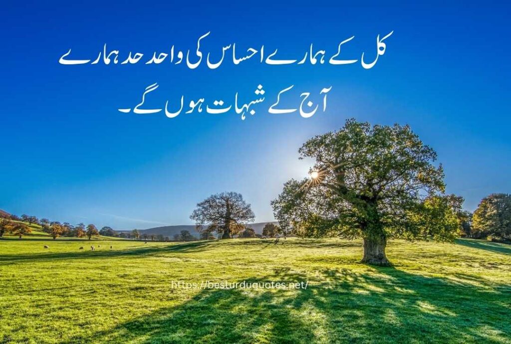 urdu quotes