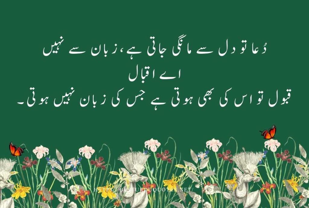 Best Urdu Quotes