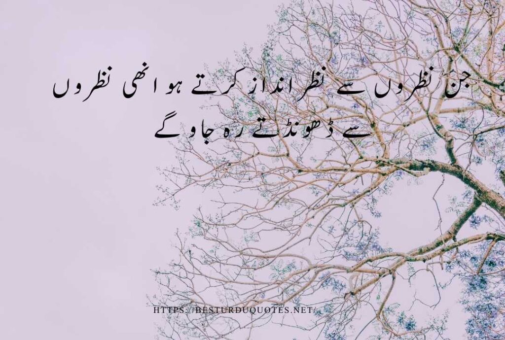 Best Urdu Quotes