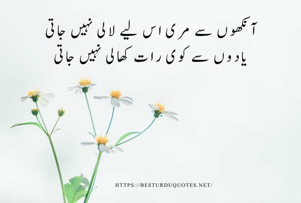 Best Urdu Quotes