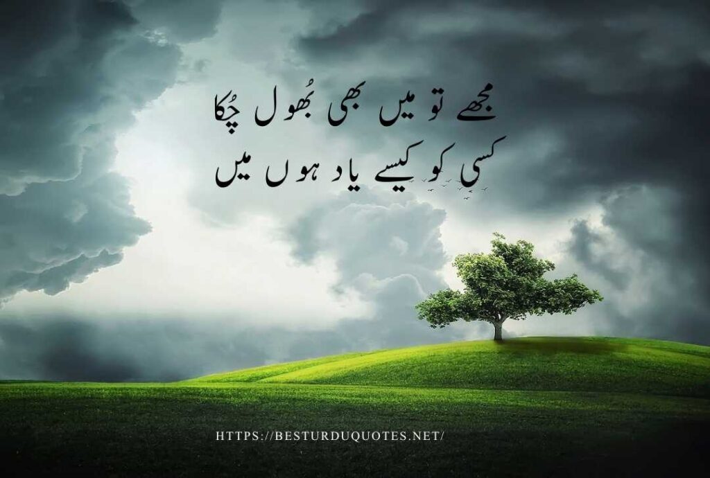 Best Urdu Quotes