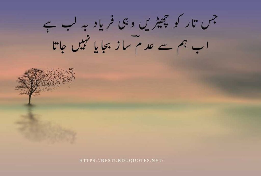 Best Urdu Quotes