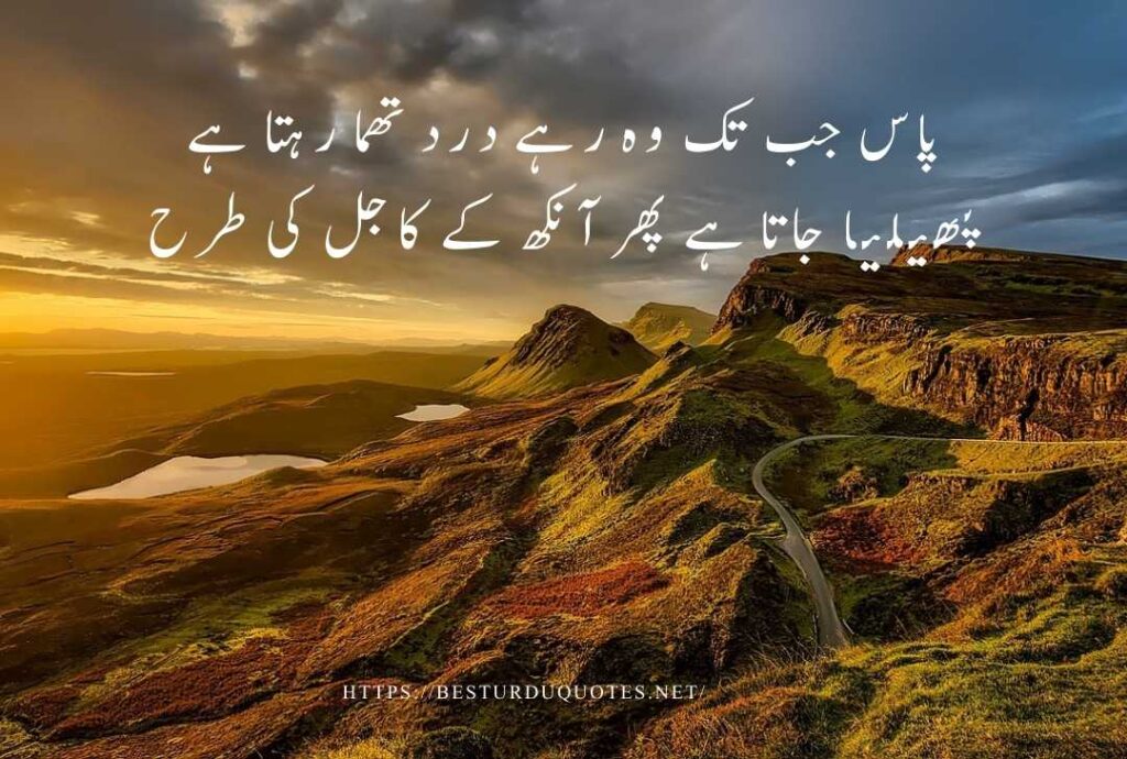 Best Urdu Quotes