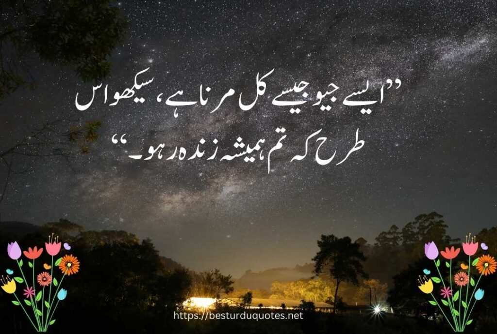 Urdu Quotes