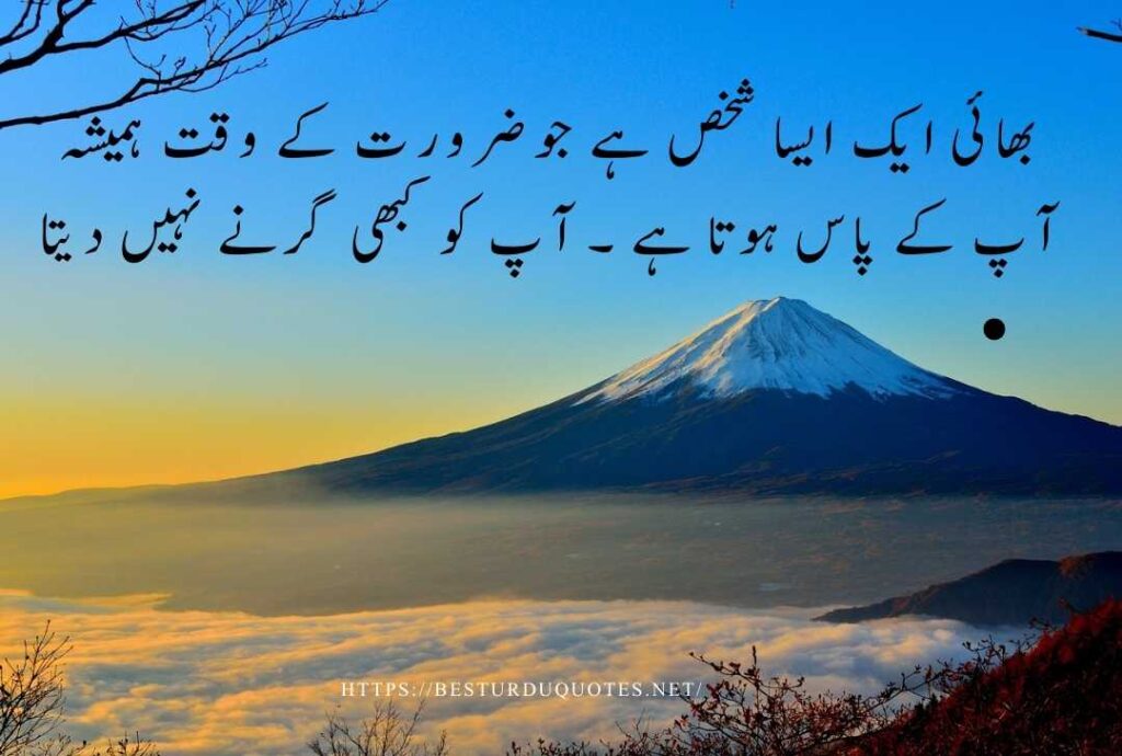 Best Urdu Quotes