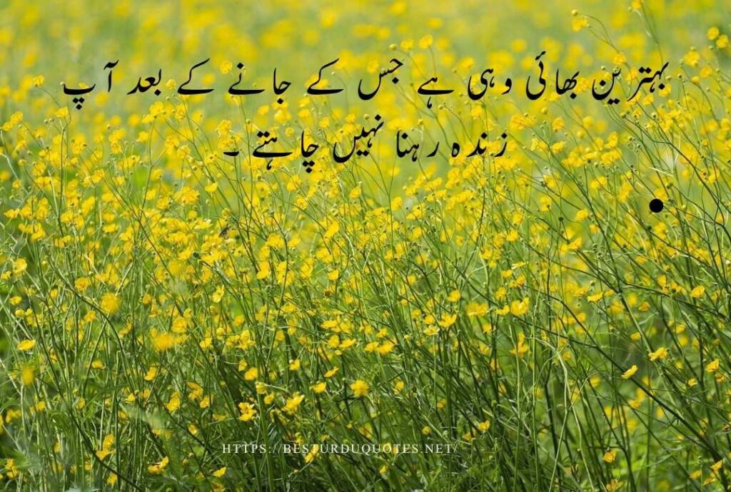 Best Urdu Quotes