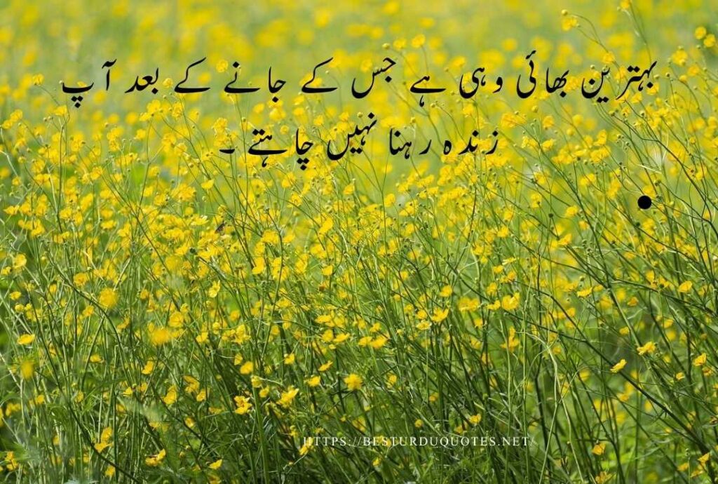 Urdu Quotes