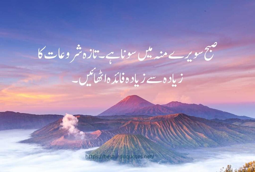 urdu quotes