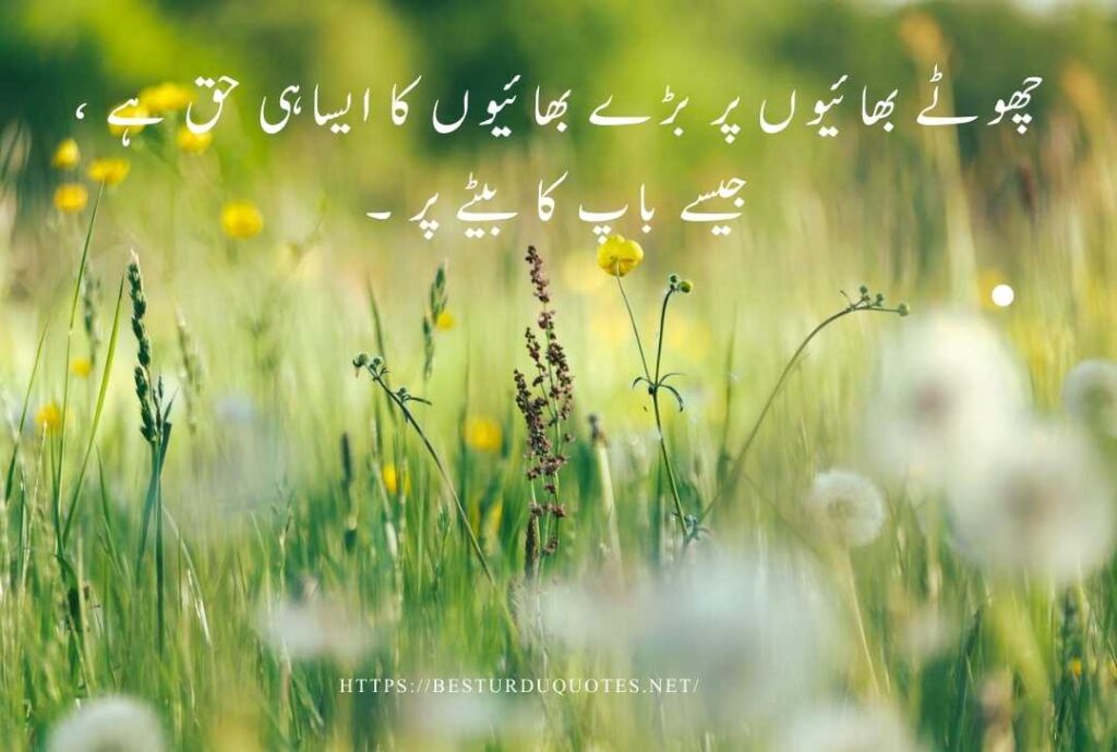 Best Urdu Quotes