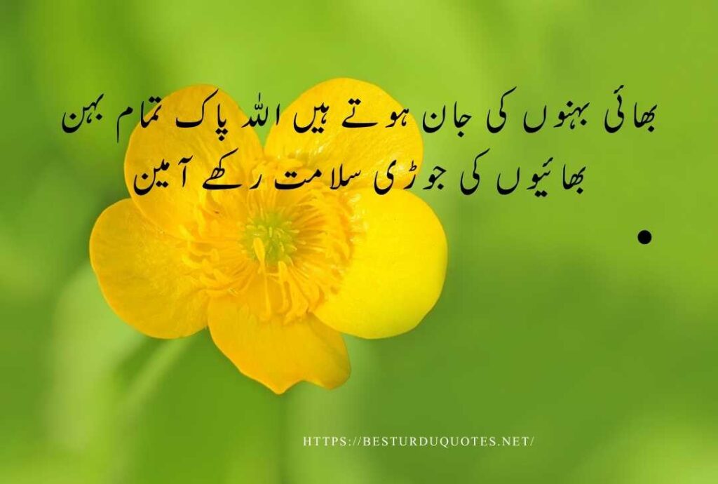 Urdu Quotes