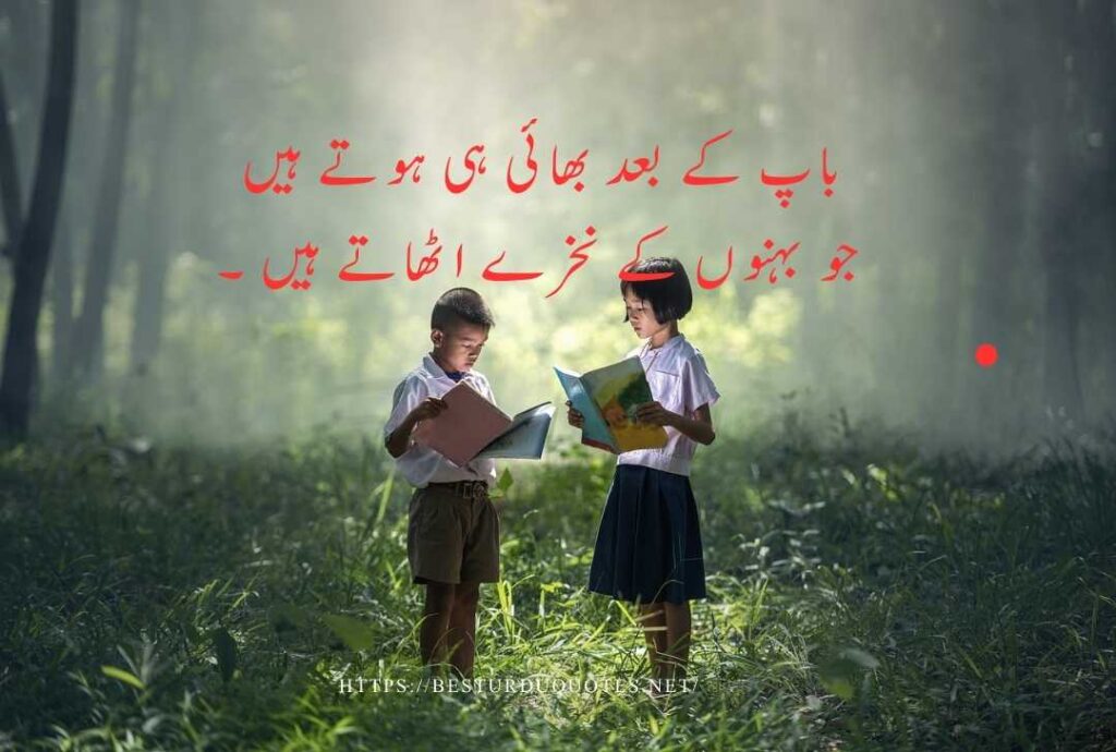 Best Urdu Quotes