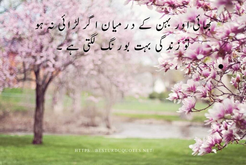 Best Urdu Quotes