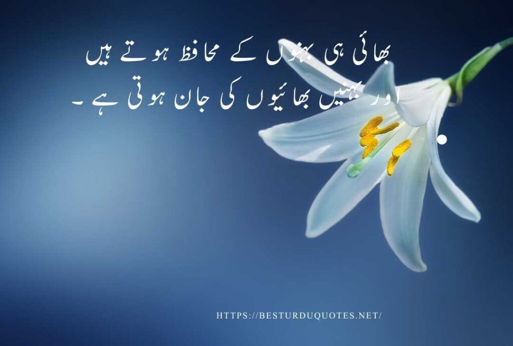 Urdu Quotes