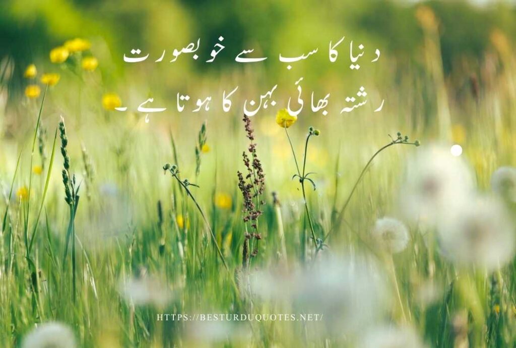 Best Urdu Quotes