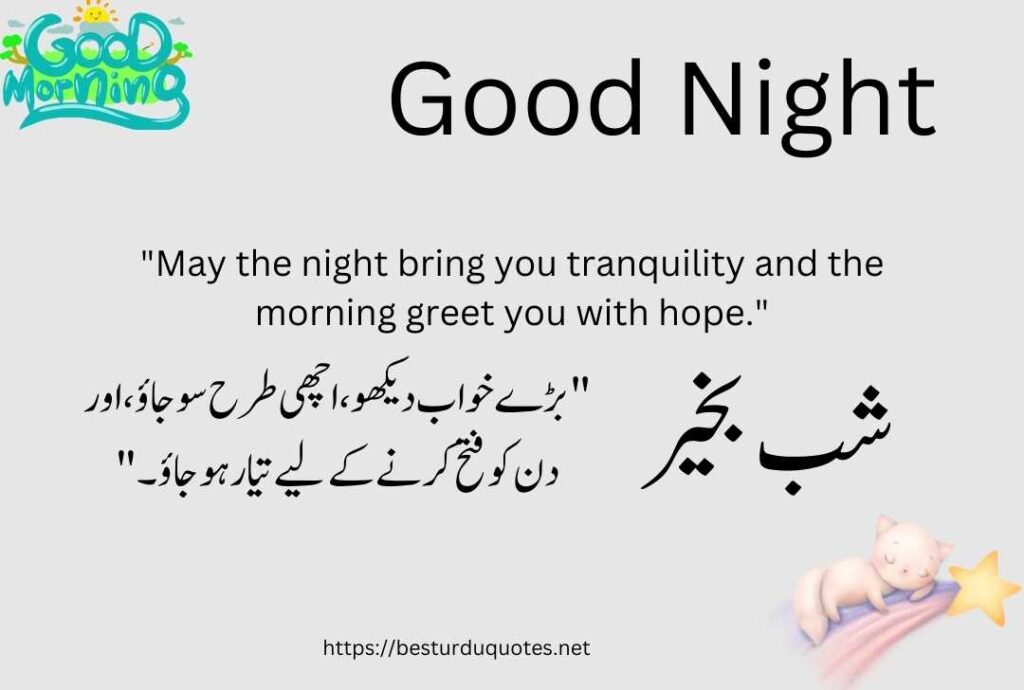 200+Good Night Urdu Quotes