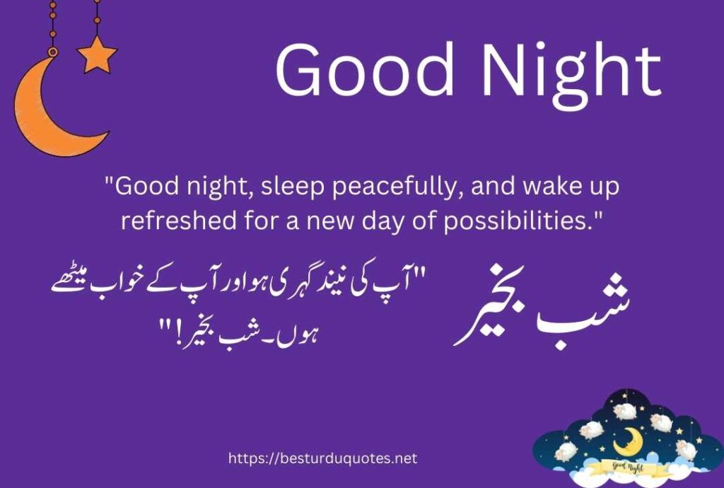 Good Night Urdu Quotes