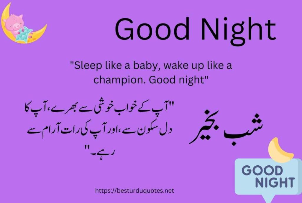 Good Night Urdu Quotes