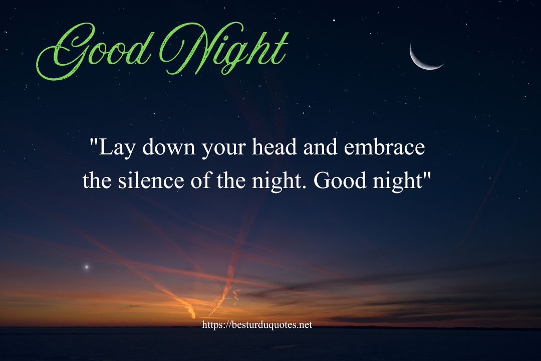 Good Night Quotes