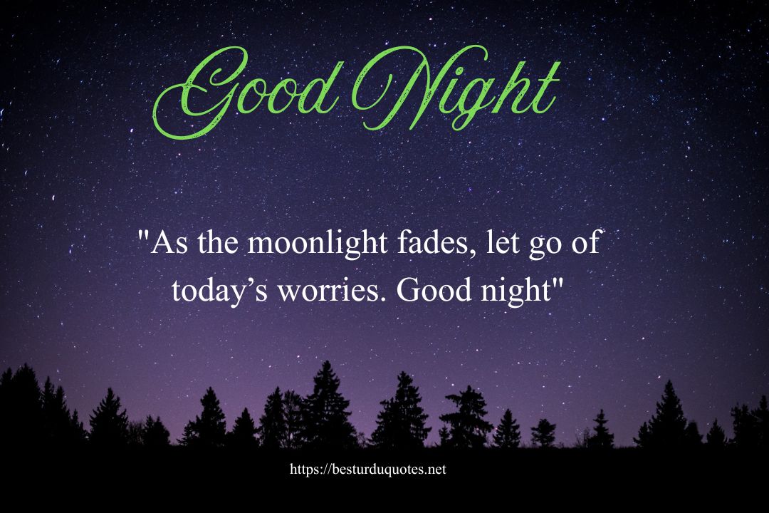 Good Night Quotes