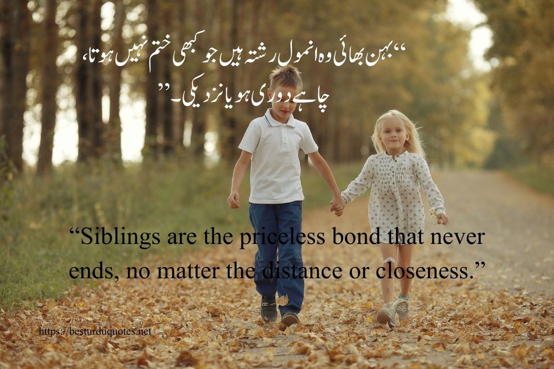 Sister Quotes in Urdu Celebrating the Bond of Love and Friendship