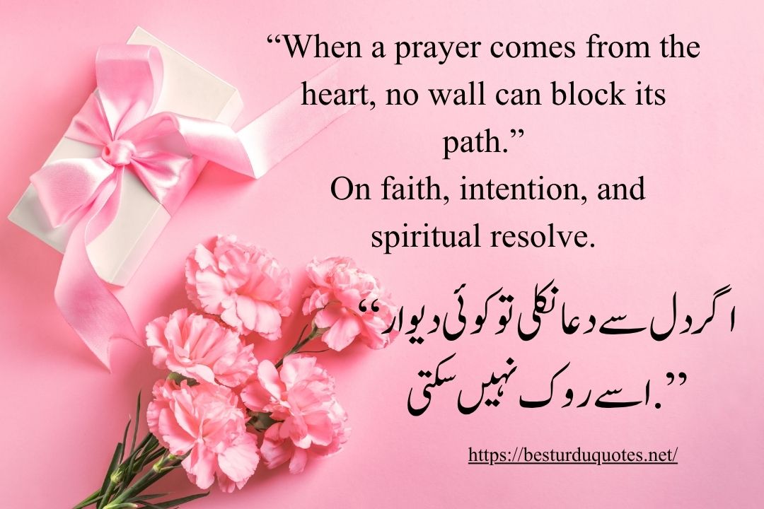 Top 20 Inspiring Best Urdu Quotes: for Every Occasion 14 Top 20 Inspiring Best Urdu Quotes