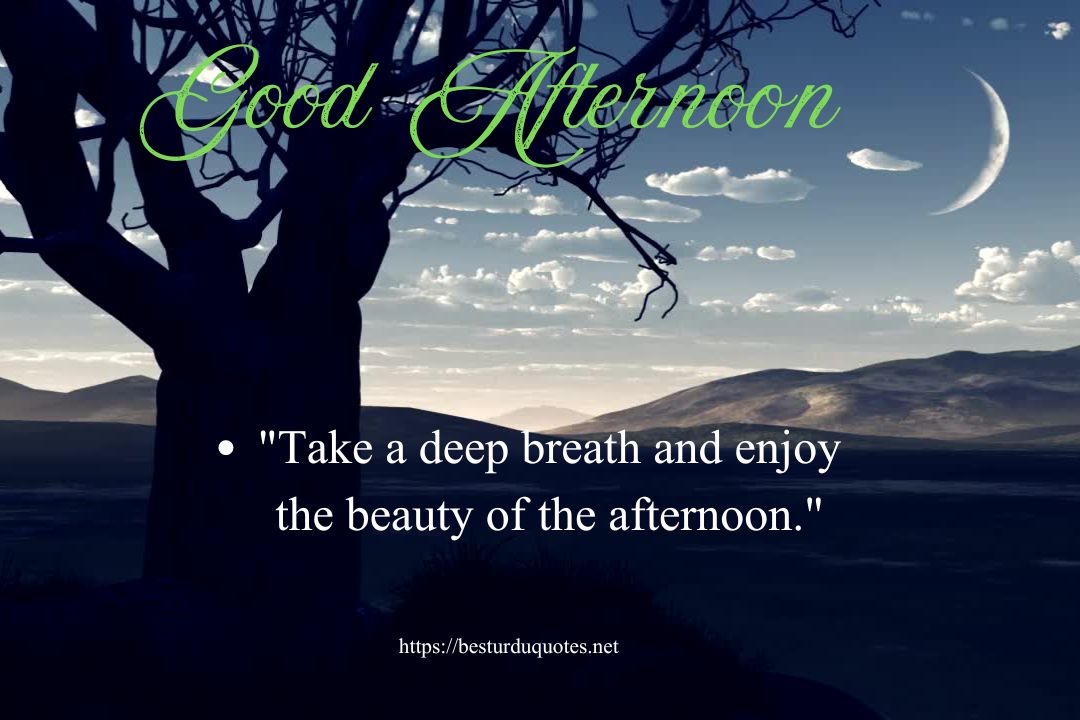 The Significance of Saying Good Afternoon