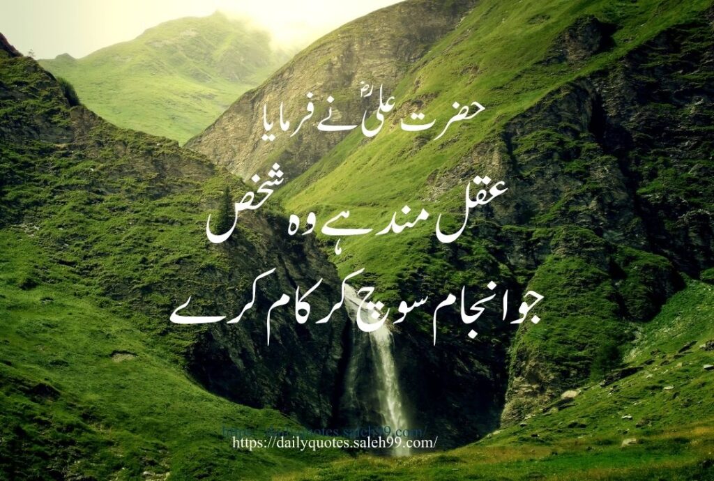 Mola Ali Quotes in Urdu