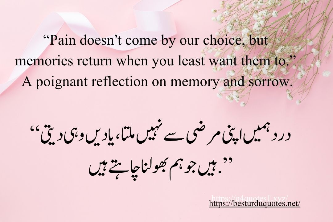 Top 20 Inspiring Best Urdu Quotes: for Every Occasion 6 Top 20 Inspiring Best Urdu Quotes