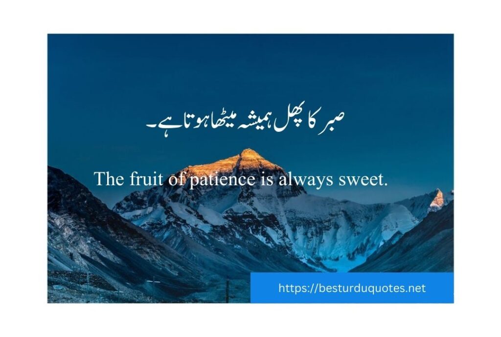 One Line Quotes in Urdu