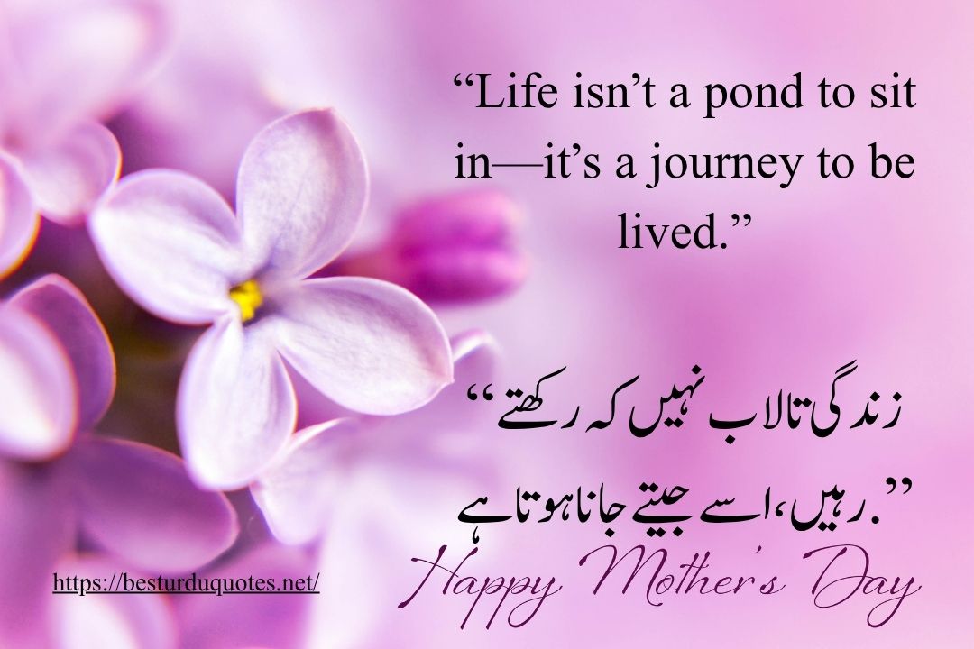 Top 20 Inspiring Best Urdu Quotes: for Every Occasion 10 Top 20 Inspiring Best Urdu Quotes