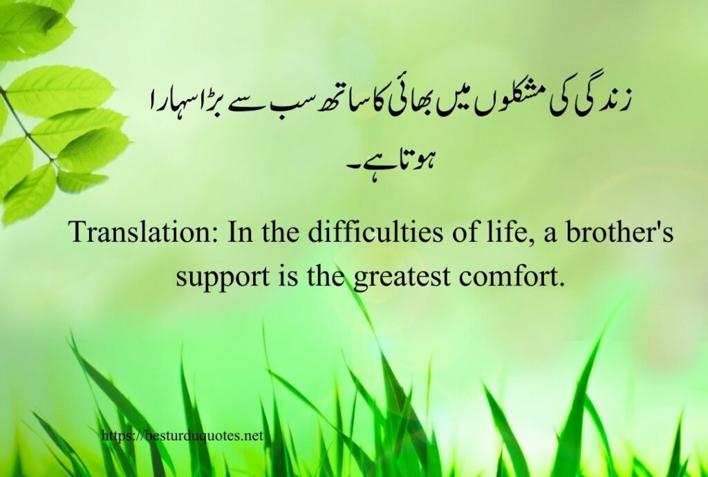 Brother Quotes in Urdu