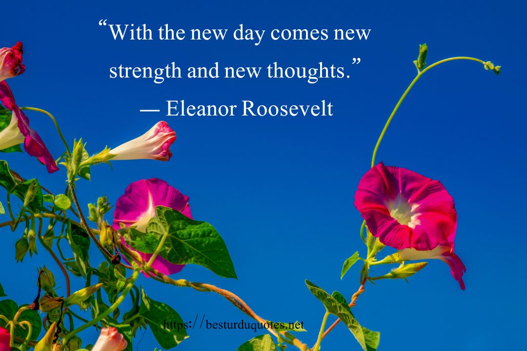 Good Morning Blessings Images and Wishes Heartfelt Way