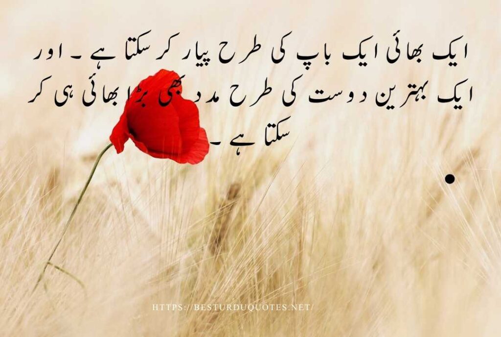 Sister Quotes in Urdu