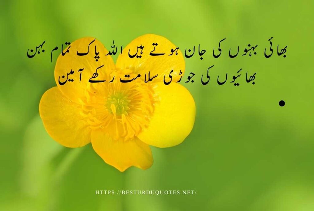 Sister Quotes in Urdu