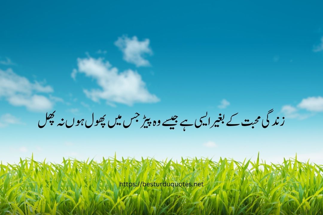 Best Quotes About Life in Urdu