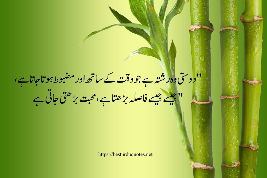 Friendship Quotes in Urdu