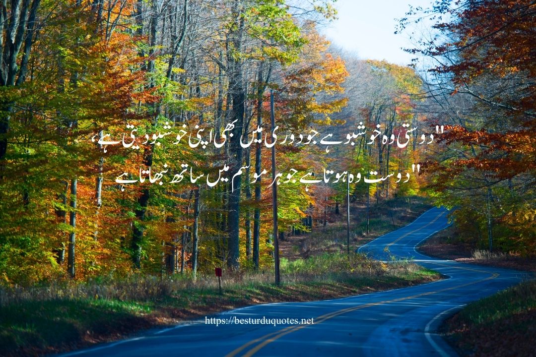 Friendship Quotes in Urdu