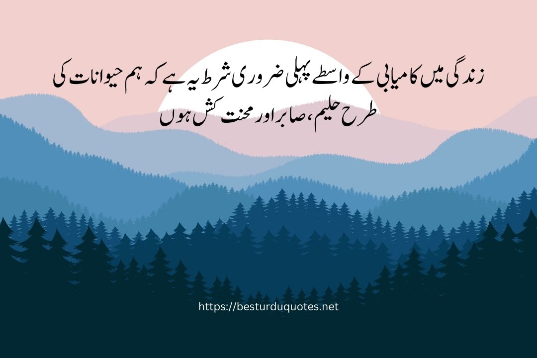 Best Quotes About Life in Urdu