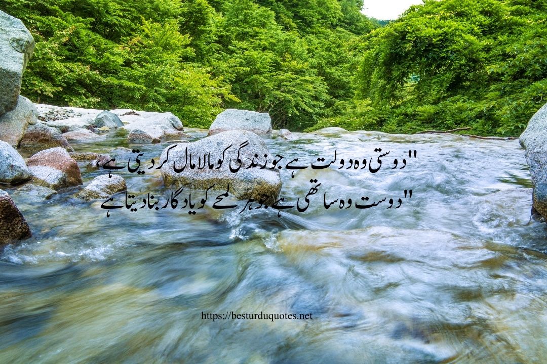 Friendship Quotes in Urdu