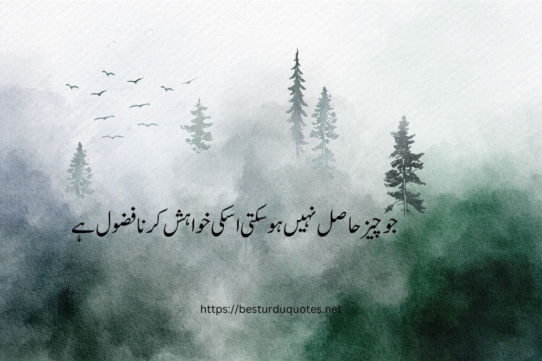 Best Quotes About Life in Urdu