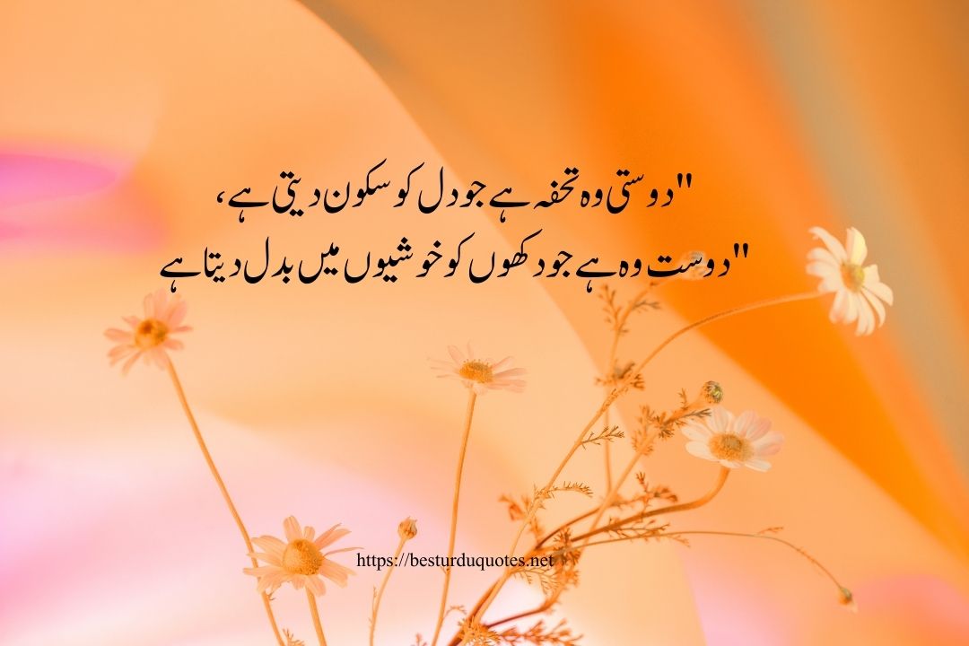 Friendship Quotes in Urdu