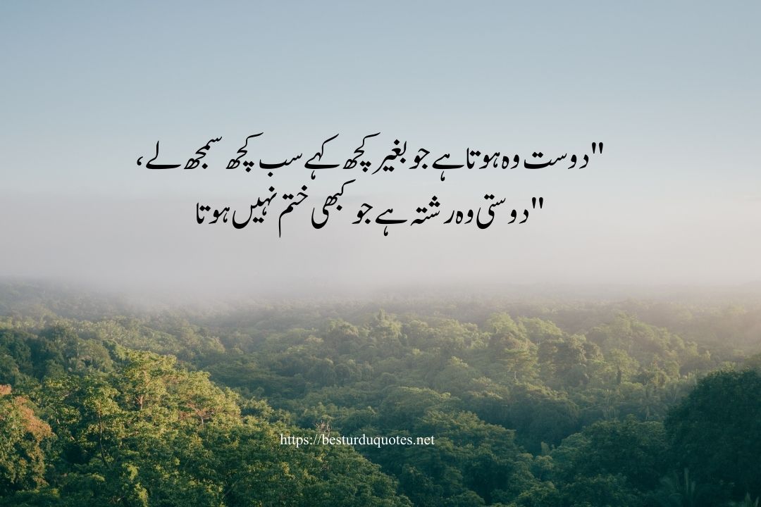 Friendship Quotes in Urdu