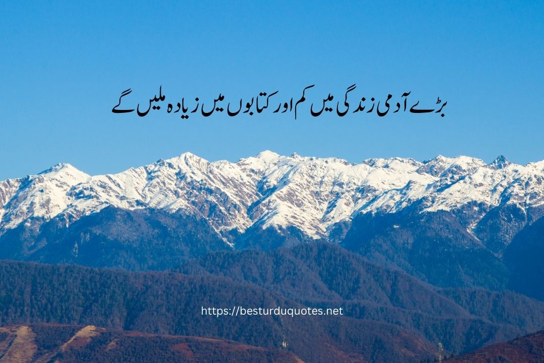 Best Quotes About Life in Urdu