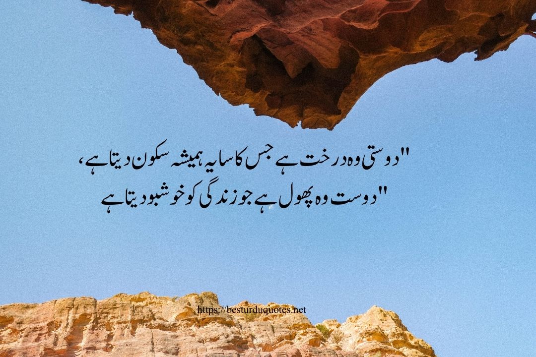 Friendship Quotes in Urdu