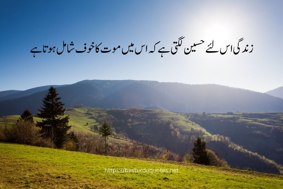 Best Quotes About Life in Urdu