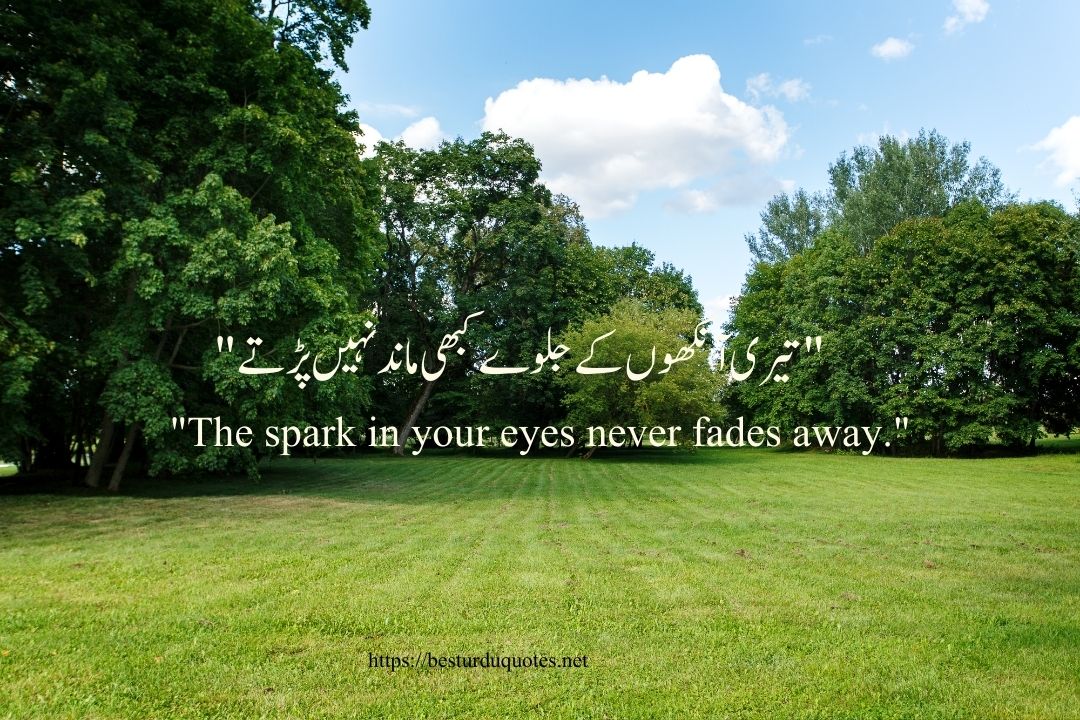 Urdu Poetry on Eyes