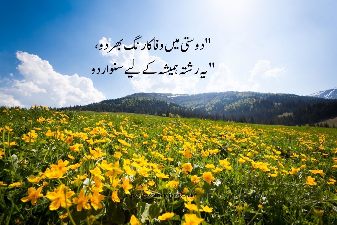 Friendship Quotes in Urdu