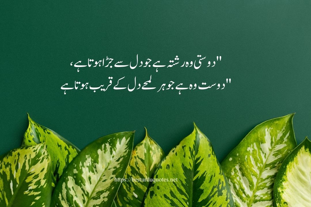 Friendship Quotes in Urdu